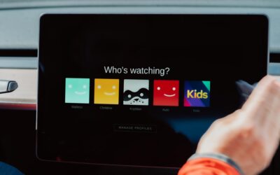 Netflix-udmelding understreger alvoren ved deling af passwords